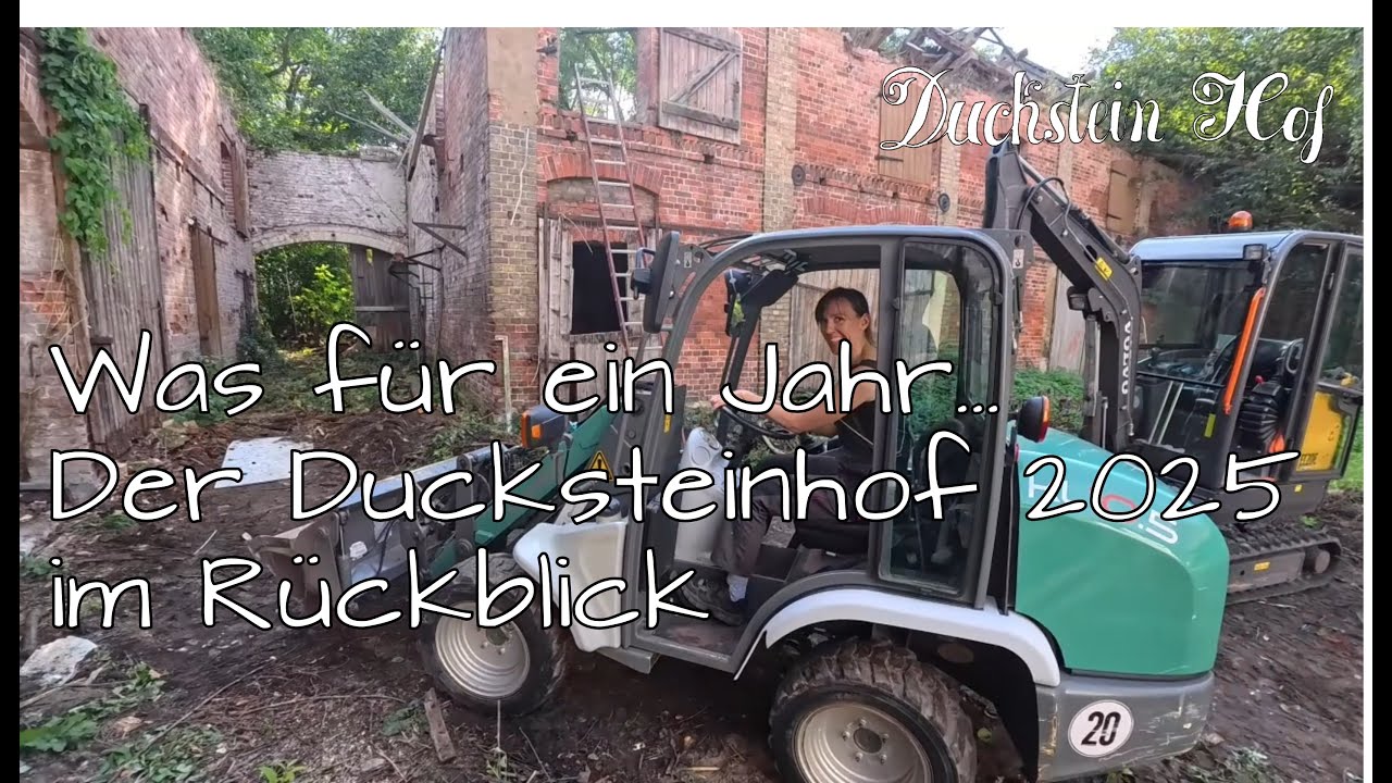 Ein Jahr Ducksteinhof – Sanierung, Rückschläge und Fortschritte (2025)