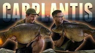 CARPLANTIS | Fishing for GIANT CARP in The Netherlands!