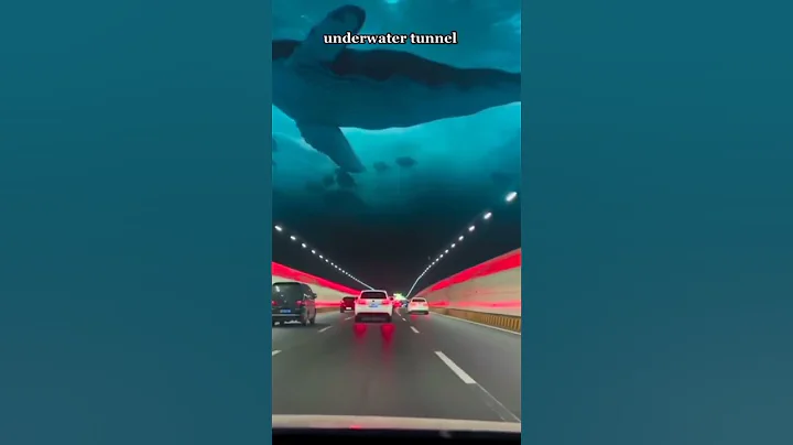 underwater road tunnel - DayDayNews