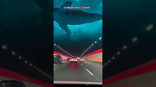 underwater road tunnel screenshot 2