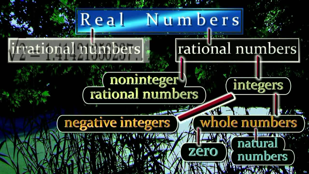 Hierarchy Chart Of Real Numbers