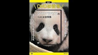 【紹介】シャンシャンのベストお宝映像 DVD DVD ROM （マガジンハウス）