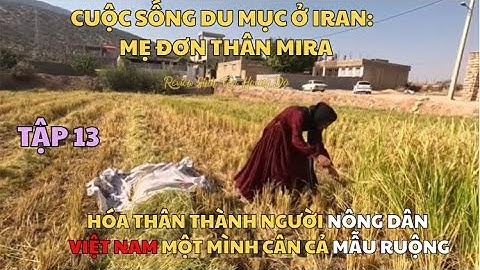 TẬP 13: CUỘC SỐNG DU MỤC Ở IRAN. Mẹ Đơn  Hóa Thân Thành Người Nông Dân Việt Nam Cân Cả Mẫu Ruộng