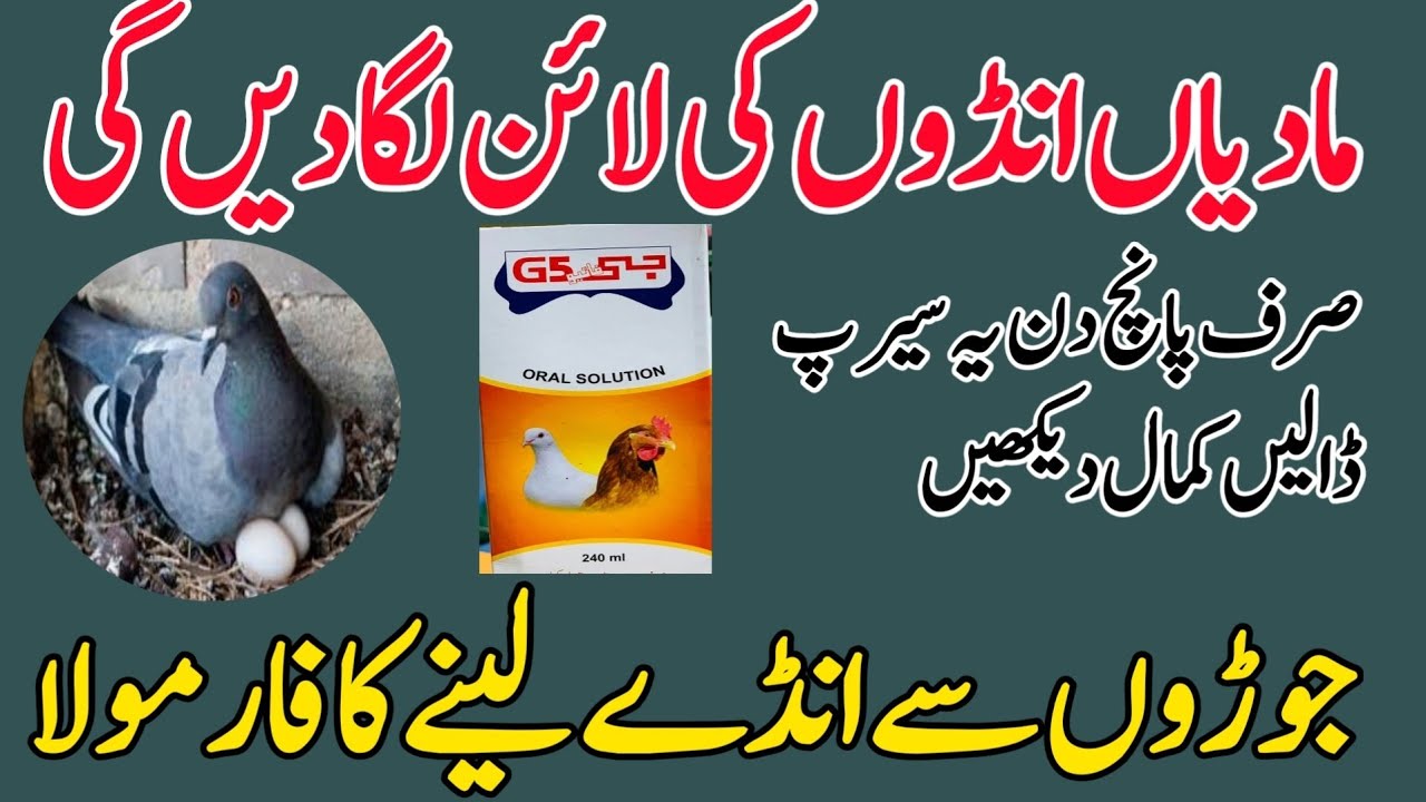 MADIYAN ANDON KI LINE LGA DEN GI