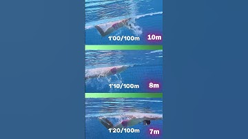 Thumbnail of #swimming #swim #pool #vs #challenge #motivation #sports #sport #water #training #race #pace