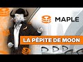 Maple finance  le nouveau terrain de jeu des institutions ppite crypto