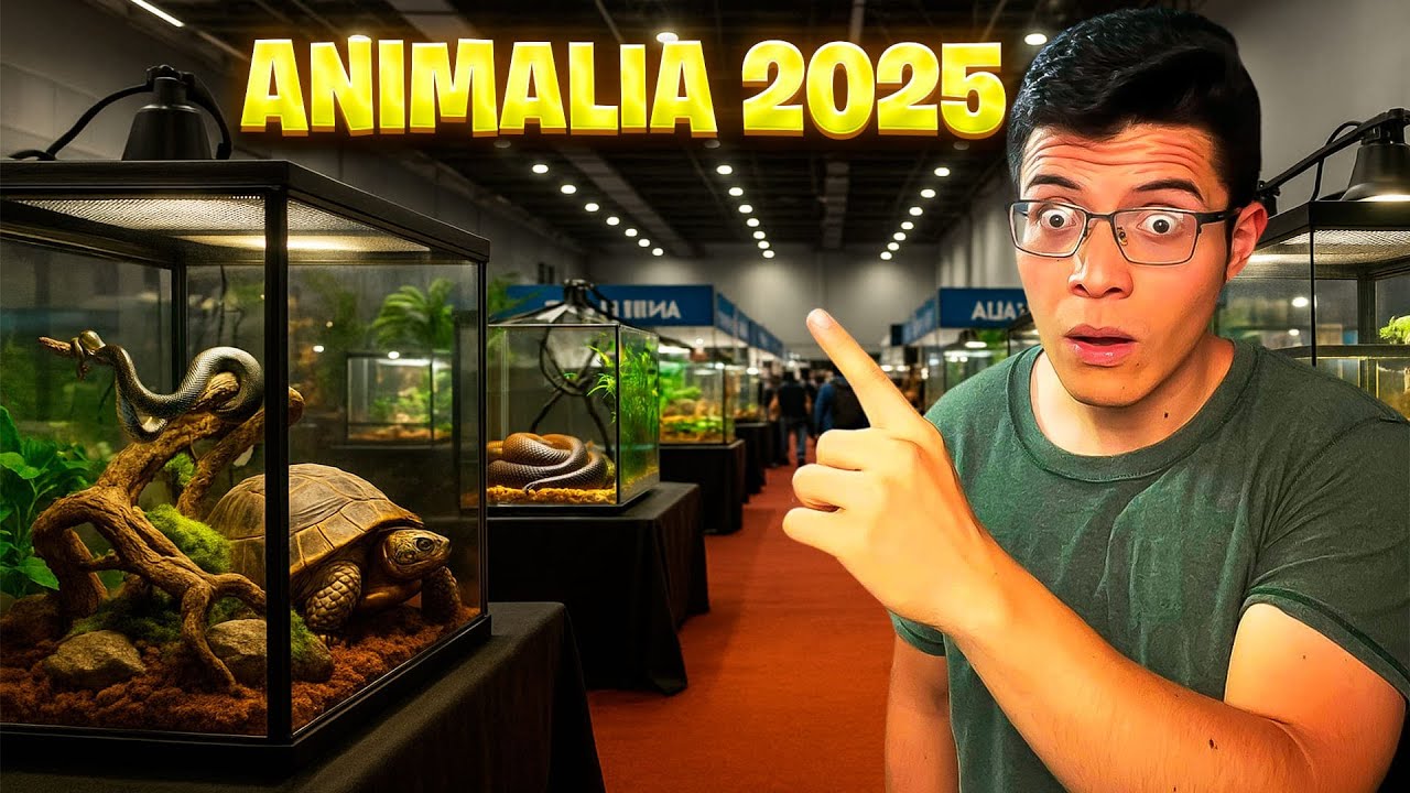 ENCONTRE los ANIMALES mas exóticos de ANIMALIA 2025