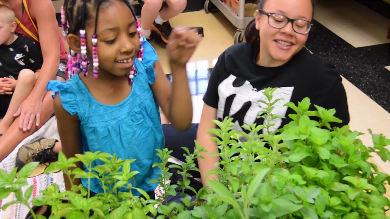 Summer Career Development Program - YouTube