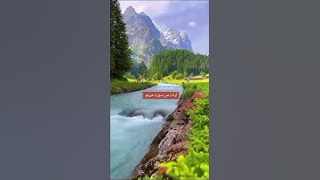 #حياكم الله #وأسعدالله أوقاتكم#ايات من سوره #مريم #تلاوه الشيخ #محمدحسين عامر رحمه الله