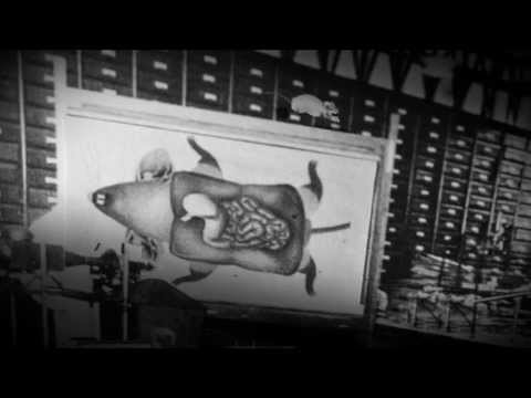 Imaginary Family - Drug (Official video)