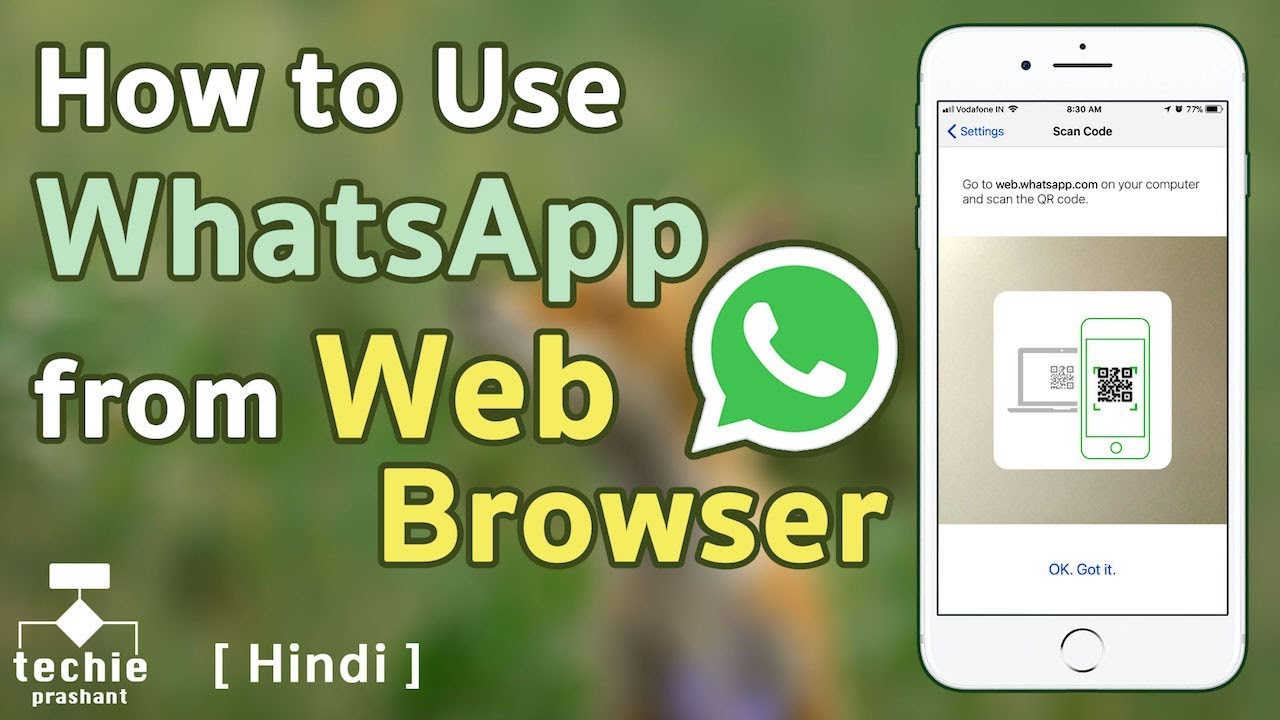 whatsapp business pc download