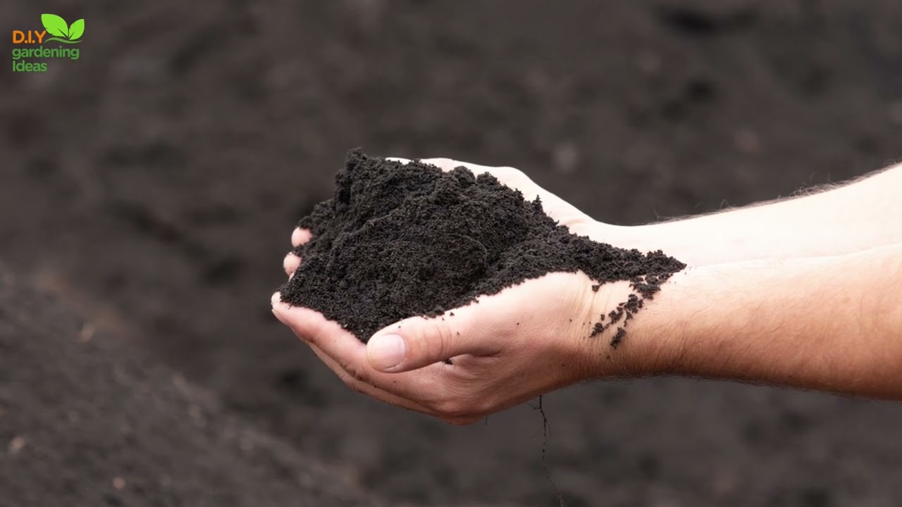 What Is The Most Fertile Soil In The World Wow YouTube What Is The Most Fertile Soil In The World Wow YouTube