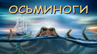 Осьминоги: земные инопланетяне| Познавательное видео про осьминогов| Удивительный мир беспозвоночных