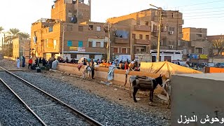 من اعماق الصعيد رحلة بالقطار الروسي من طما الي جزيرة شندويل بسوهاج