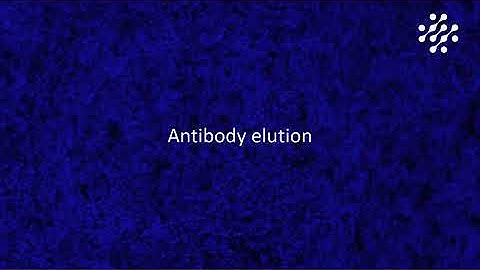 Microfluidic precision autostainer for fast multiplexed TSA-based immunofluorescence