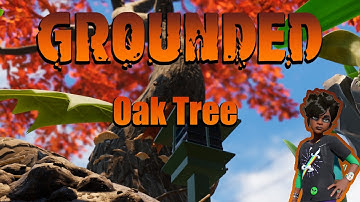 Explore The Oak Tree Explosion : Grounded Let