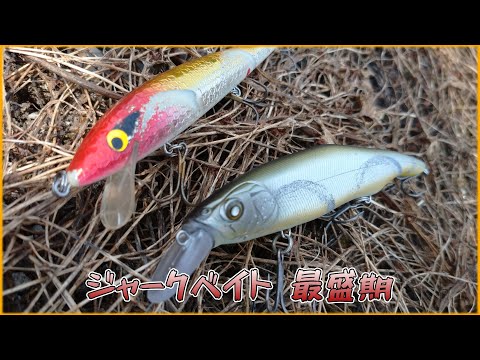 ルアー・フライ The One Baits Elly ルアー・フライ The One Baits Elly The One Baits Elly