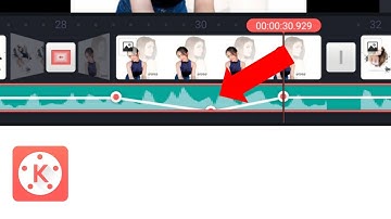 How To Mute Audio in Selected Area || Kinemaster Tutorial