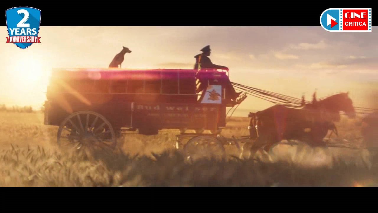 Budweiser   Wind Never Felt Better   2019 Super Bowl Commercial 60