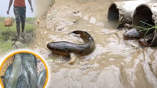 Bass Fishing Tricks With Village Boy. Fish Catching With Pipe. Pond Fishing In Natural Village.