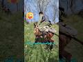 موسی شوق خرسواری کرده بود   نجومي