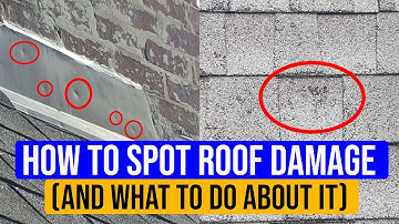 How To Identify Roof Damage (And What to Do About It)