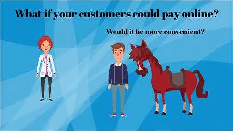 Online Customer Payment Portal for HVMS Practices