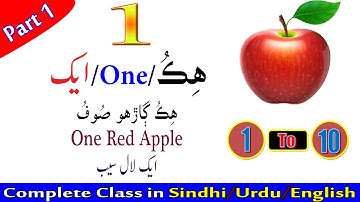 Numbers in English, Urdu and Sindhi with picture and examples || Numbers in Sindhi || Part 1