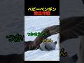 コペンギンを救った南極のヤンキー