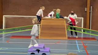 Multimove - klimmen en klauteren