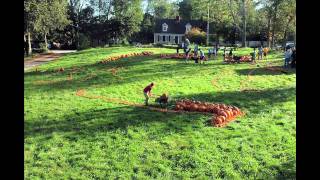 Time lapse video of pumpkin patch