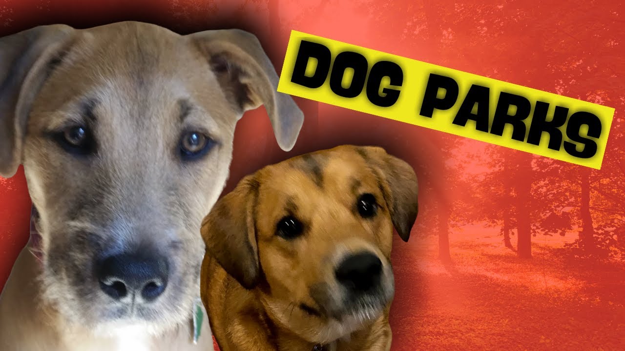 The Best Dog Parks in Fayette County GA Peachtree City, Tyrone GA