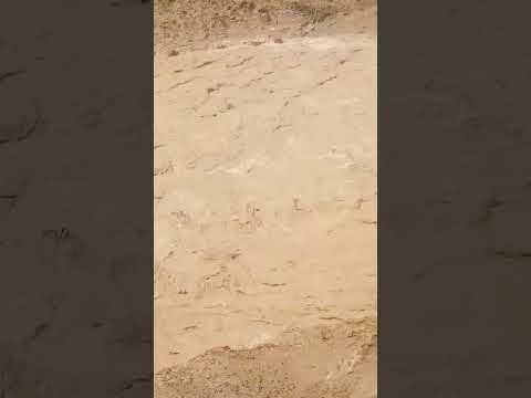 روش ذخیره آب با سیل بند آب رو باید به هر نحوی ذخیره کرد حیوانات انگیزشی شوخی طنز آشپزی مار