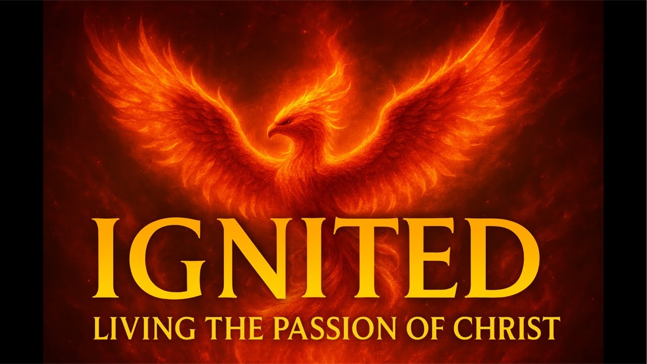 Wednesday Bible Study