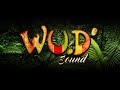 Wudsound  panda dub natural mystic remix 