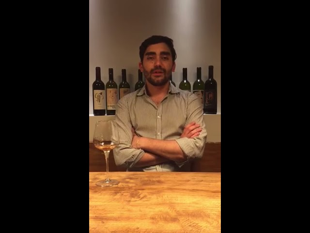 I giovani del vino: intervista a Luca Degl'Innocenti