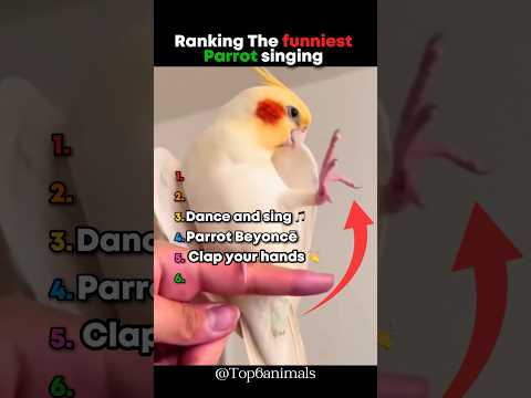 Ranking The Funniest