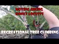 Moving Among Honey Locusts_ Traversing, Thorns, Poison Ivy, SRT, DdRT, Recreational Tree Climbing