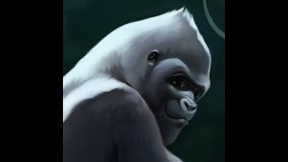 Ivan Day 14 Pages 197-213