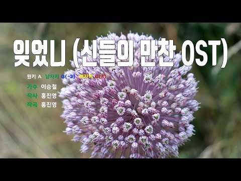 [은성 반주기] 잊었니(신들의만찬OST) - 이승철