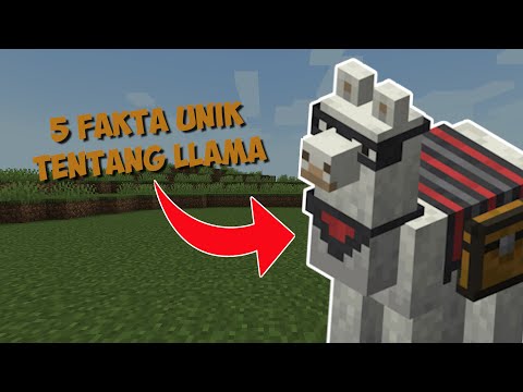 Video: Bisakah kamu membiakkan llama di minecraft?