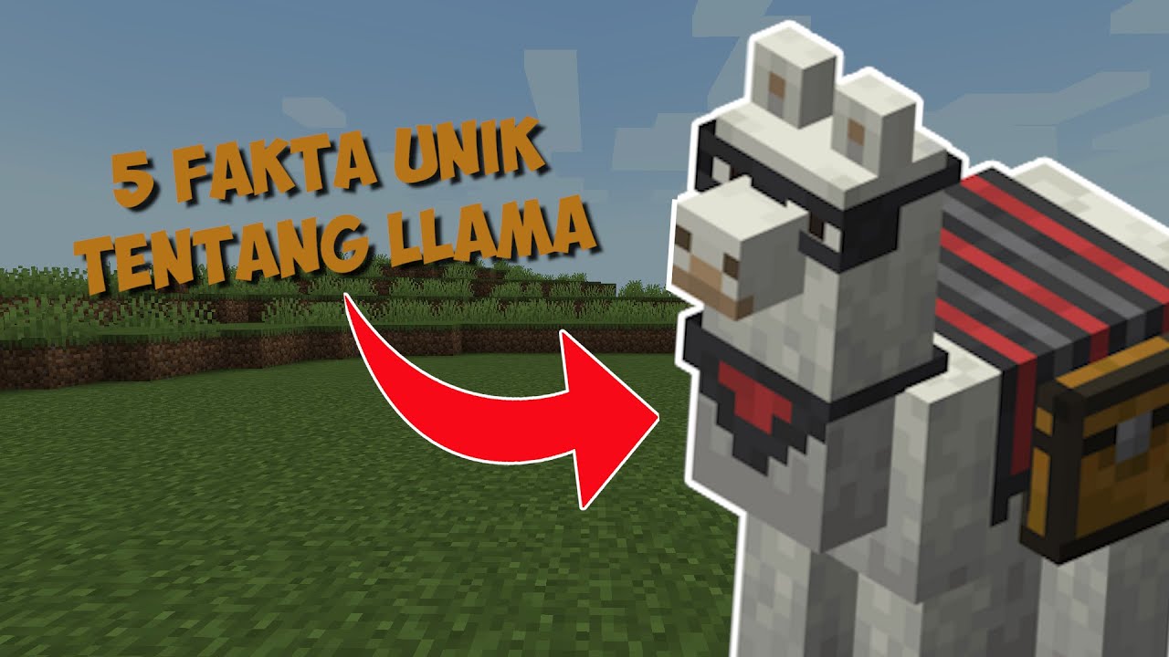 5 Fakta Unik Tentang LLAMA di Minecraft - YouTube