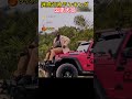 緊迫の瞬間？！カメラマンvs動物たちTOP5！