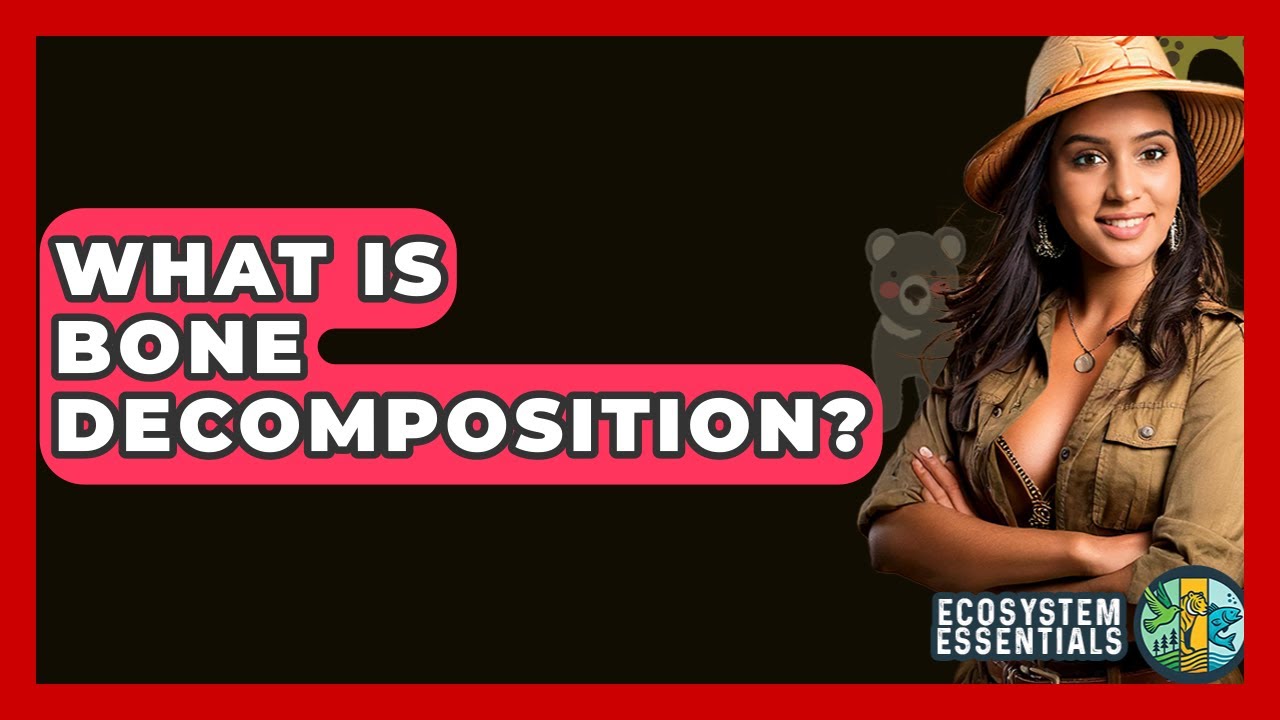 What Is Bone Decomposition? - Ecosystem Essentials