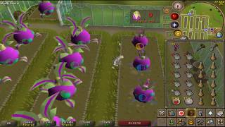 Tithe Farm Guide (Seed Box, Farmer's Outfit and Auto Weed)