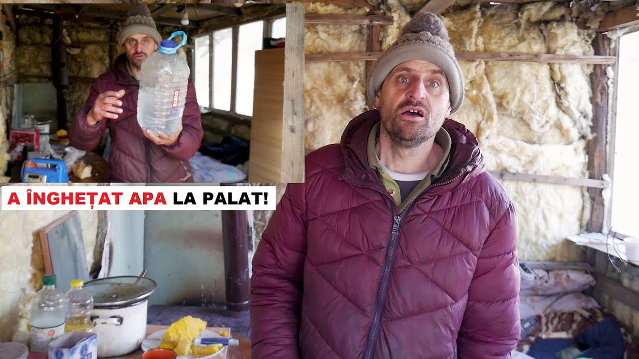 GER la Palat! | Ce TERASĂ a făcut Arthur? | Cum a ÎNGHEȚAT apa în casă! | BATERIE și geamuri duble