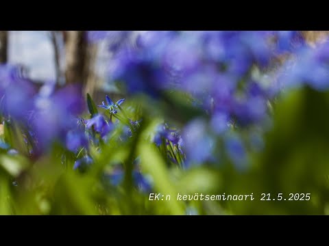 EK:n kevätseminaari 21.5.2025