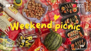 Weekend Picnic \/\/  DAILY VLOG #3 \/ ( SHORT VIDEO)