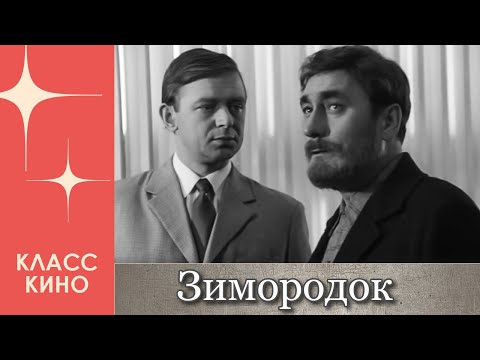 Зимородок (1972)
