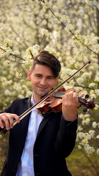 Can’t help falling in love with you - David Bay